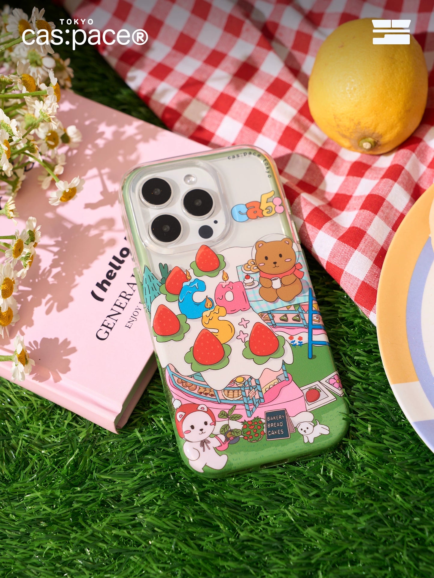 cas:pace 24S/S "cas:pace 5th" Cake case