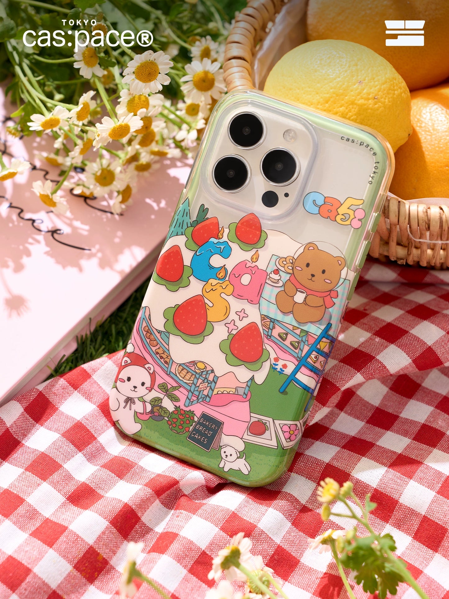 cas:pace 24S/S "cas:pace 5th" Cake case